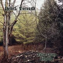 Nebel Torvum : Fallen Leaves Forgotten (Promo CD)